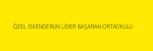 ÖZEL İSKENDERUN LİDER BAŞARAN ORTAOKULU